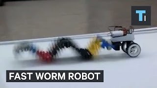 Fast worm robot