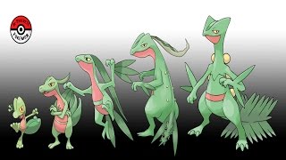 ポケモンの進化過程を描いたイラストが秀逸4（In-Progress Pokemonから）