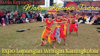 KUDA KEPANG KECIL, WAHYU KENCANA PUTRA GALARAN, EXPO LAPANGAN WRINGIN KARANGKOBAR