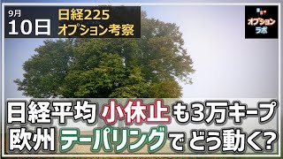 【日経225オプション考察】9/10 日経平均は久々の下落で小休止も3万円死守。ECBはテーパリング開始でSQ明けの日経平均はどう動く？