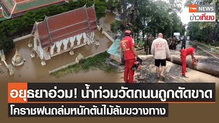 อยุธยาอ่วม! น้ำท่วมวัดถนนถูกตัดขาด-โคราชฝนถล่มหนักต้นไม้ล้มขวางทาง | TNNข่าวเที่ยง | 29-8-65