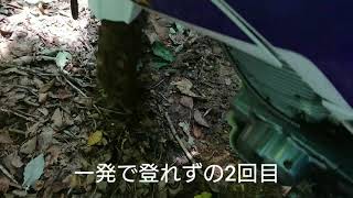 大雨が降ったので林道調査的なのをやってみた  in 阿賀町