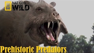 Best Documentary of All Time National Geographic Documentary - Prehistoric Predators: Killer Pig