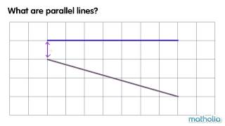 Parallel Lines
