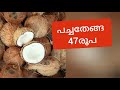 kerala market today. today coconut rate 11 12 24