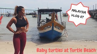 Penang National Park: Hike to Turtle beach