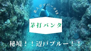 【沖縄　国頭村　茅打バンタ　スキューバダイビング】ついに辺戸到達！！やんばるの秘境で碧の世界に飛び込む＃素人ダイバー/Scuba diving in Yanbaru Okinawa