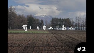 １人暮らしおっちゃんの癒しを求めて散歩～駒場公園