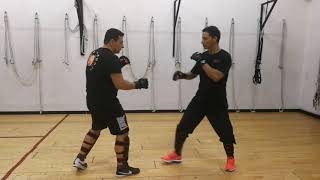 Jab and low kicks: Jeet Kune Do training