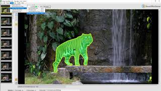 Image Annotation Lab - Bounding Box Tracking