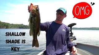 INSANE Shallow Water Jig Bite (ft. Ladybass)