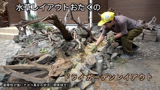 水草レイアウトおたくのドライガーデンレイアウト