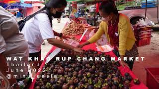 Wat Khao Rup Chang Market (Phichit, Thailand) June 2022