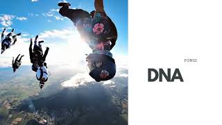 DNA DEEM FLYWEAER