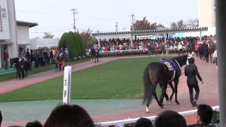 ＪＢＣクラシック(JpnI)　パドック映像　金沢競馬　2013年　競馬タウン