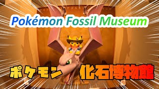 Pokemon Fossil Museum【All Goods Review】