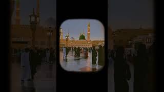 Hazir Hain Hum - Hafiz Ahmed Raza Qadri New Naat,Islamic Video #short #youtubeshorts #viral