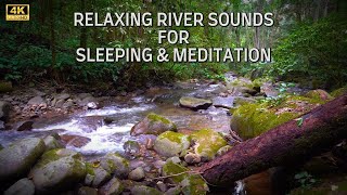 Tropical Rainforest River flowing Sounds for Sleeping and Meditation