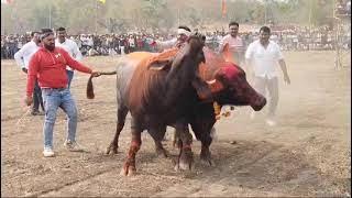 RAMA 2 Akot vs BAKHTAWAR Nagpur shandaar takkar yevatmal turnament