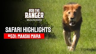 Safari Highlights #531: 11 & 12 December 2019 | Maasai Mara/Zebra Plains | Latest Wildlife Sightings