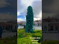 the mevlâna museum bestmoments chillout türkiye citytour 2023 amazing mevlana rumi konya