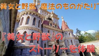 【ディズニーランド】美女と野獣“魔法のものがたり”のエントランスから出口までの様子を動画にしてみましたが撮影って難しいね！