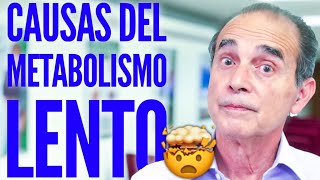 CAUSAS DE METABOLISMO LENTO - CON FRANK SUAREZ