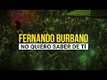 no quiero saber de ti fernando burbano video lyric