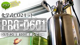 #アクアリウム 化学式CO2キットPRO-D601経過レビュー 【ビバアクア】