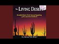 Desert Wind