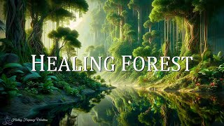 Healing Forest Ambience | 852Hz + 639Hz + 417Hz | Awaken Intuition, Attract Love, Release Negativ...