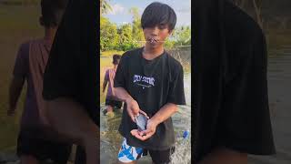 Saking banyaknya mujair sampe heboh eeeyy #fishing  #ikan  #banggonayasir