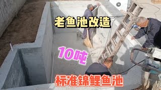 挖掉老鱼池改造成10吨锦鲤新鱼池，全部混泥土建筑，土建质量好