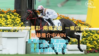 【賽馬貼士】【足球貼士】贏馬SIGNAL + 贏波SIGNAL  速遞奇兵順利五捷馬體會煞科日封王