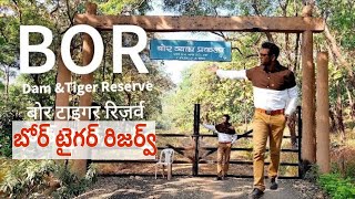 Bor Dam || బోర్ వన్య మృగకేంద్రం|| Bor Tiger Reserve || Wardha || Maharashtra