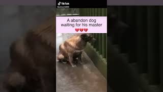 WATCH TIL the END 😂🐶 #dog #funny #video #creative #jordikoalitic#00019