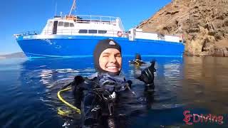 Diving the Channel Islands | Anacapa Island