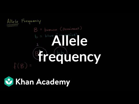What is it called when allele frequencies of a population remain constant?