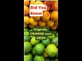 Did You Know? || Originally, oranges were green.