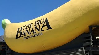 coffs harbour big banana