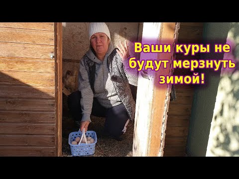 Курятник зимой без отопления. Почему мои куры не мерзнут!