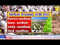 kapas na bhav 28 9 2024 કપાસના ભાવ 2024 information about cotton crop price commodity trend