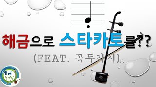 [해금배우기]스타카토 연주법!