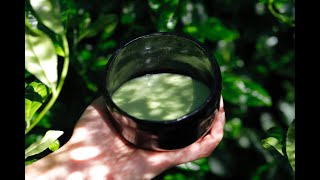 Sourcing Matcha With Rishi Tea \u0026 Botanicals