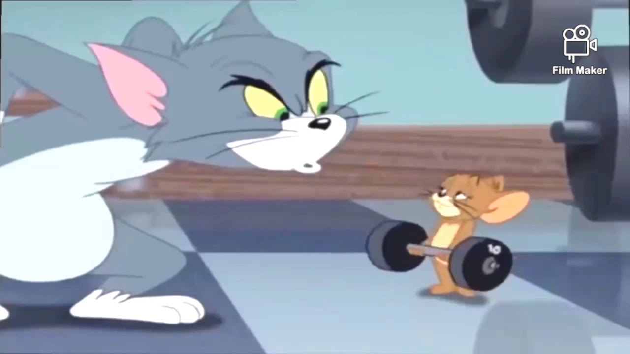 Tom And Jerry Gym Wallpaper At Pamela Cerda Blog