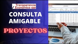 Seguimiento de PROYECTOS DE INVERSIÓN en la Consulta Amigable