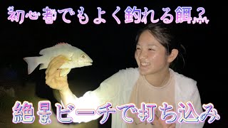 【打ち込み釣り】初心者でも釣れる餌?