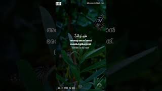 എനിക്ക് അല്ലാഹു മതി Surah At-Tawbah 129 #shorts #quran