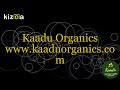 transformation of kaadu organics