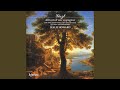 Liszt: Album d'un voyageur, S. 156: IX. Lento